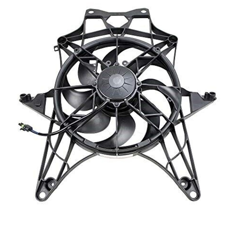 FAN ASS Y